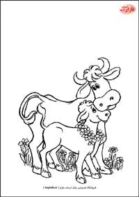 نقاشی گوساله مامانی