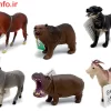 ست 12 عددی حیوانات اهلی و وحشی