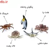 نام حیوانات دریایی