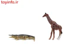دو عدد عروسک کوچک حیوانات تمساح و زرافه